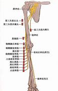 以为点一下手机上的广告就能赚钱 不料损失上万